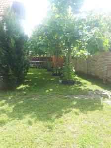 Vonkajšia záhrada v ubytovaní Apartment in Balatonszemes 38456