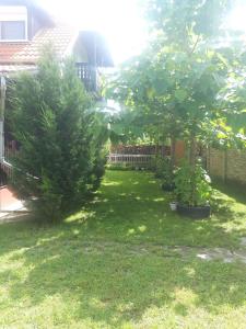 Vonkajšia záhrada v ubytovaní Apartment in Balatonszemes 38456