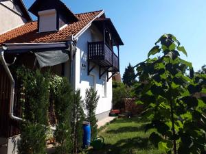 Vonkajšia záhrada v ubytovaní Apartment in Balatonszemes 38456