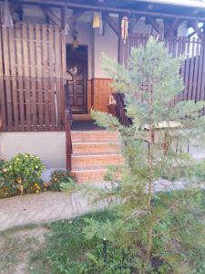 Vonkajšia záhrada v ubytovaní Apartment in Balatonszemes 38456