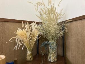 Foto dalla galleria di 恐竜博物館まで車で5分 自然体験 古来農業体験ができる一棟貸し宿Dinosaur Agri a Katsuyama