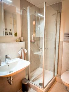 ein Bad mit einer Dusche und einem Waschbecken in der Unterkunft Schönes Apartment mit Terrasse in Würzburg
