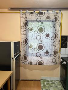 諾維薩德的住宿－Mina Home，一间位于客房内的厨房,配有淋浴帘