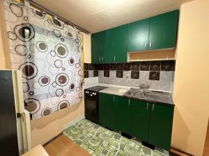 諾維薩德的住宿－Mina Home，一间设有绿色橱柜和淋浴的小厨房