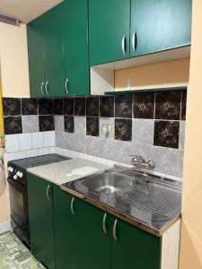 諾維薩德的住宿－Mina Home，厨房配有绿色橱柜和水槽