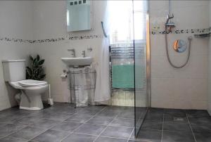 y baño con aseo, ducha y lavamanos. en Bluebell lake house, en Enniskillen