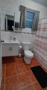 uma casa de banho com um WC, um lavatório e um espelho. em Casa Rosairis 
