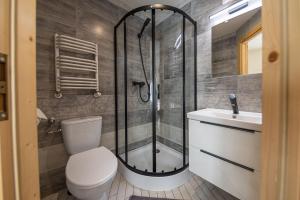 a bathroom with a shower and a toilet and a sink at Apartamenty i pokoje gościnne Wajdówka in Zakopane