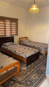 Легло или легла в стая в Wadi Al-Nakhil Hostel