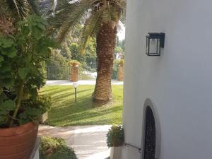 a white building with a palm tree in the yard at Villa San Vito Amalfi Coast A timeless charm in Vietri sul Mare