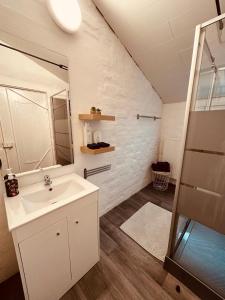 ein Bad mit einem Waschbecken und einem Spiegel in der Unterkunft Ké dodo sous le château !!! in Spa