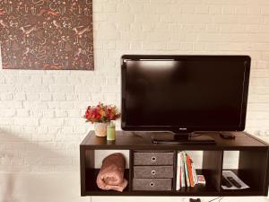 TV a/nebo společenská místnost v ubytování Ké dodo sous le château !!!