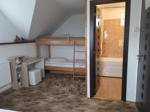 Cette chambre comprend des lits superposés et une salle de bains. dans l'établissement Cabana Maly, à Petroşani