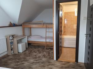 a room with a bunk bed and a bathroom at Cabana Maly in Petroşani