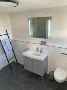 La salle de bains est pourvue d'un lavabo, de toilettes et d'un miroir. dans l'établissement Ferienwohnung am Holzberg in Volkach mit Weitblick, à Volkach