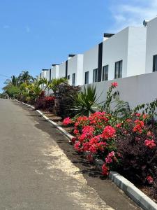 eine Reihe von Blumen vor einem Gebäude in der Unterkunft la falaise paradis Mauritius in Flic-en-Flac