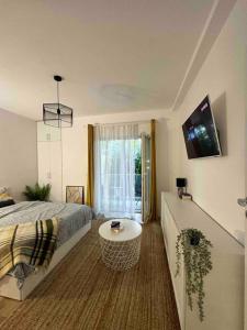 Μια τηλεόραση ή/και κέντρο ψυχαγωγίας στο Your condo in Timisoara. Reeas Apart. with pool