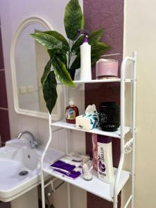 a bathroom shelf with toiletries and a plant on it at شقق وغرف خاصة in Hail