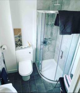 łazienka z prysznicem i toaletą w obiekcie Coastal Corner w mieście Porthcawl