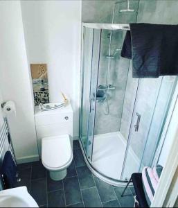 a bathroom with a shower and a toilet at Coastal Corner in Porthcawl