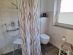 a bathroom with a shower and a toilet at Haus Swanhild in Fockbek +45 photos