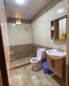 La salle de bains est pourvue de toilettes, d'un lavabo et d'une douche. dans l'établissement Wadi Rum Star Camp, à Wadi Rum