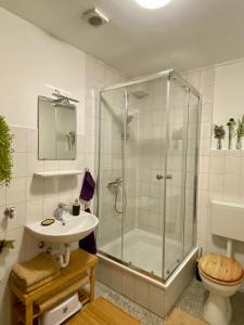 a bathroom with a shower and a sink and a toilet at Die 2eitwohnung in Hochheim am Main