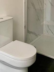 a white bathroom with a toilet and a shower at Gloucester Serviced Apartments in Gloucester