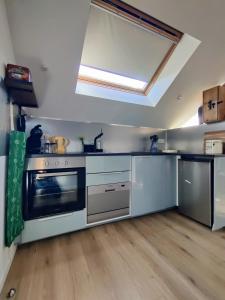 a large kitchen with stainless steel appliances and a skylight at Appartement Cosy in Sausheim