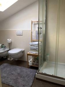 a bathroom with a shower and a toilet and a sink at Casa in pietra al lago di Como in Colico