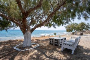 カルダメナにあるMammis Beach Hotelの海岸の木の下のテーブルとベンチ