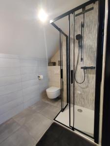 La salle de bains est pourvue d'une douche et de toilettes. dans l'établissement Appartement Cosy, à Sausheim