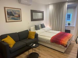 uma sala de estar com uma cama e um sofá em Celje Luxury Apartments & Spa em Celje