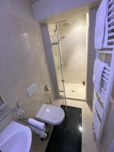 a bathroom with a toilet and a shower and a sink at Small but Charming-Yellow Appartement in Baden
