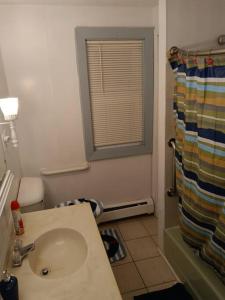 a bathroom with a sink and a shower curtain at Indian Lake House in Worcester