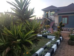 un jardin en face d'une maison avec des palmiers dans l'établissement Alice Gardens and Campsite, à Entebbe