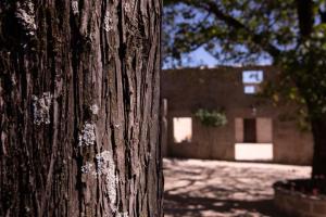 Foto da galeria de Quinta de São Francisco Houses em Viseu