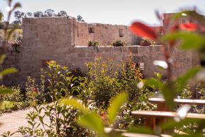 Um jardim em Quinta de São Francisco Houses