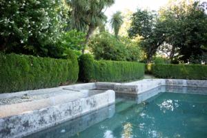 uma piscina de água num jardim com arbustos em Quinta de São Francisco Houses em Viseu
