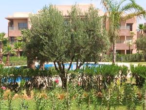 uma árvore num jardim em frente a um edifício em Prestigia appt rez de jardin golf em Marrakech