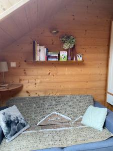 a couch in a room with a wooden wall at gite moya in Gérardmer