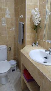 une salle de bains avec toilettes et lavabo dans l'établissement Acogedor apartamento JV36, à Cordoue