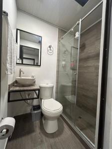 ein Bad mit einem WC, einem Waschbecken und einer Dusche in der Unterkunft Hostel Quinta Camacho in Bogotá