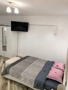 a bedroom with a bed and a flat screen tv at Garsonieră- Bulevard Dem Rădulescu in Râmnicu Vâlcea