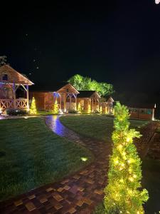 Un árbol de Navidad en el patio de una casa por la noche en СИНІ ВОДИ база відпочинку 