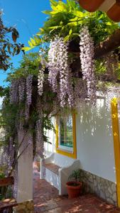 Um jardim no exterior de Casal Serrano Charme e Tranquilidade