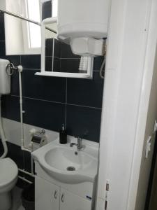 Vannituba majutusasutuses Blue Carpet Rooms