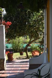 Um jardim no exterior de Casal Serrano Charme e Tranquilidade