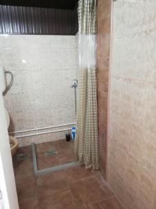 Vannituba majutusasutuses Blue Carpet Rooms