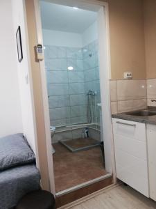 a bathroom with a shower with a glass door at Blue Carpet Rooms in Niš